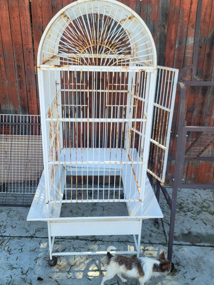 Bird Cages $10 Per Cage  