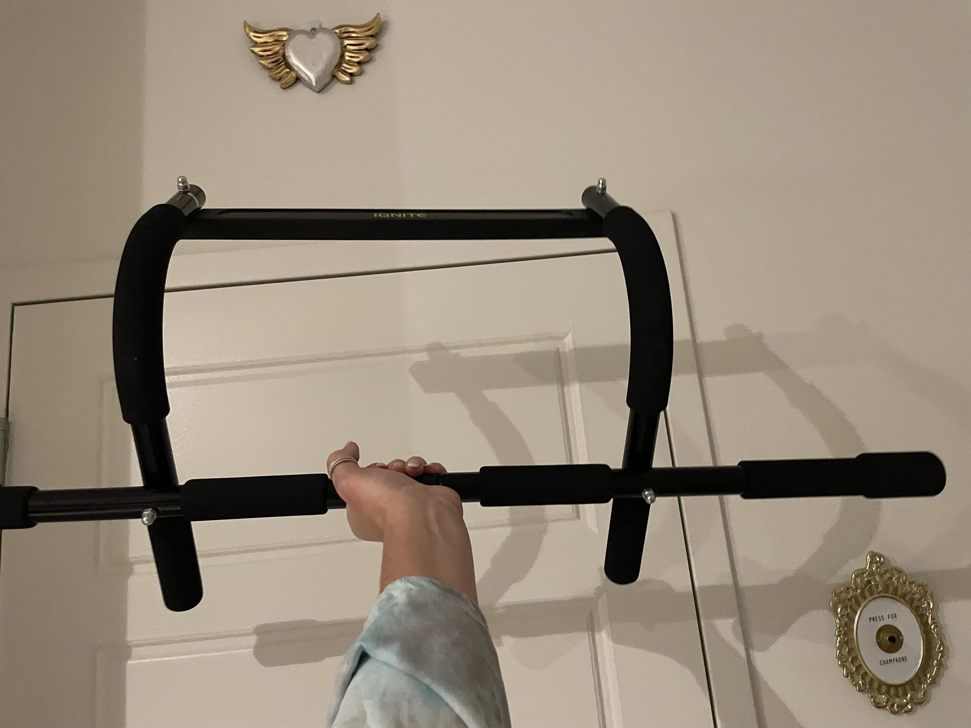 $45 Pull Up Bar