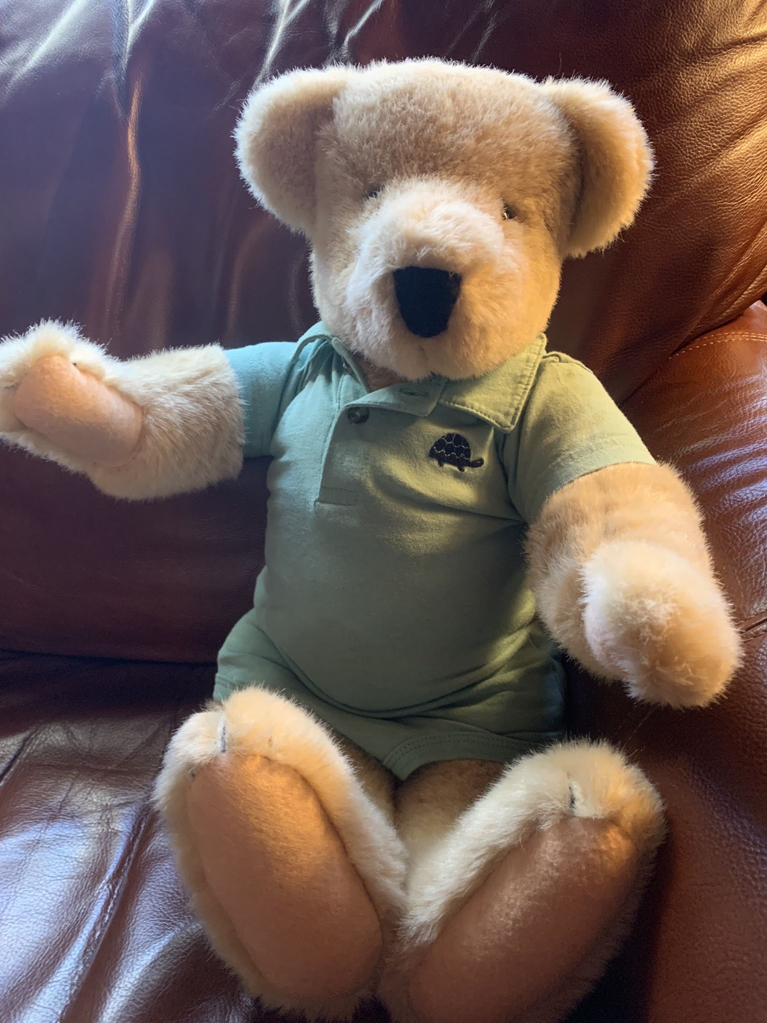 Vanderbear Teddy Bear