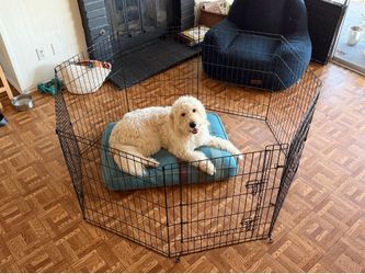 Metal pet playpen