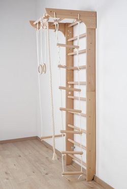 Wall Mount Swedish Ladder