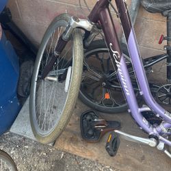 Beach Cruiser