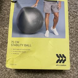 Exercise/Labor Ball
