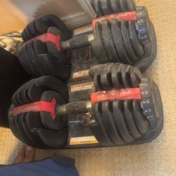 Bowflex Adjustable Dumbells