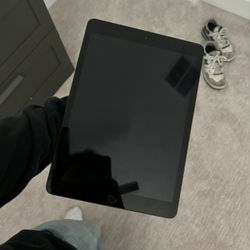 iPad Mini 