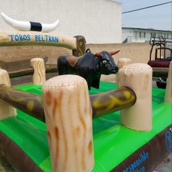 Renta De Toros Mecánicos 