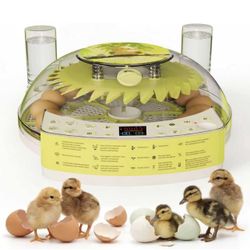 22 Egg Incubators for Hatching Eggs X(292)