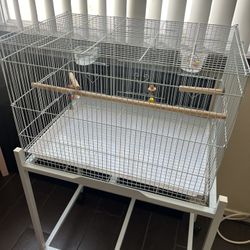 Birds Cage 