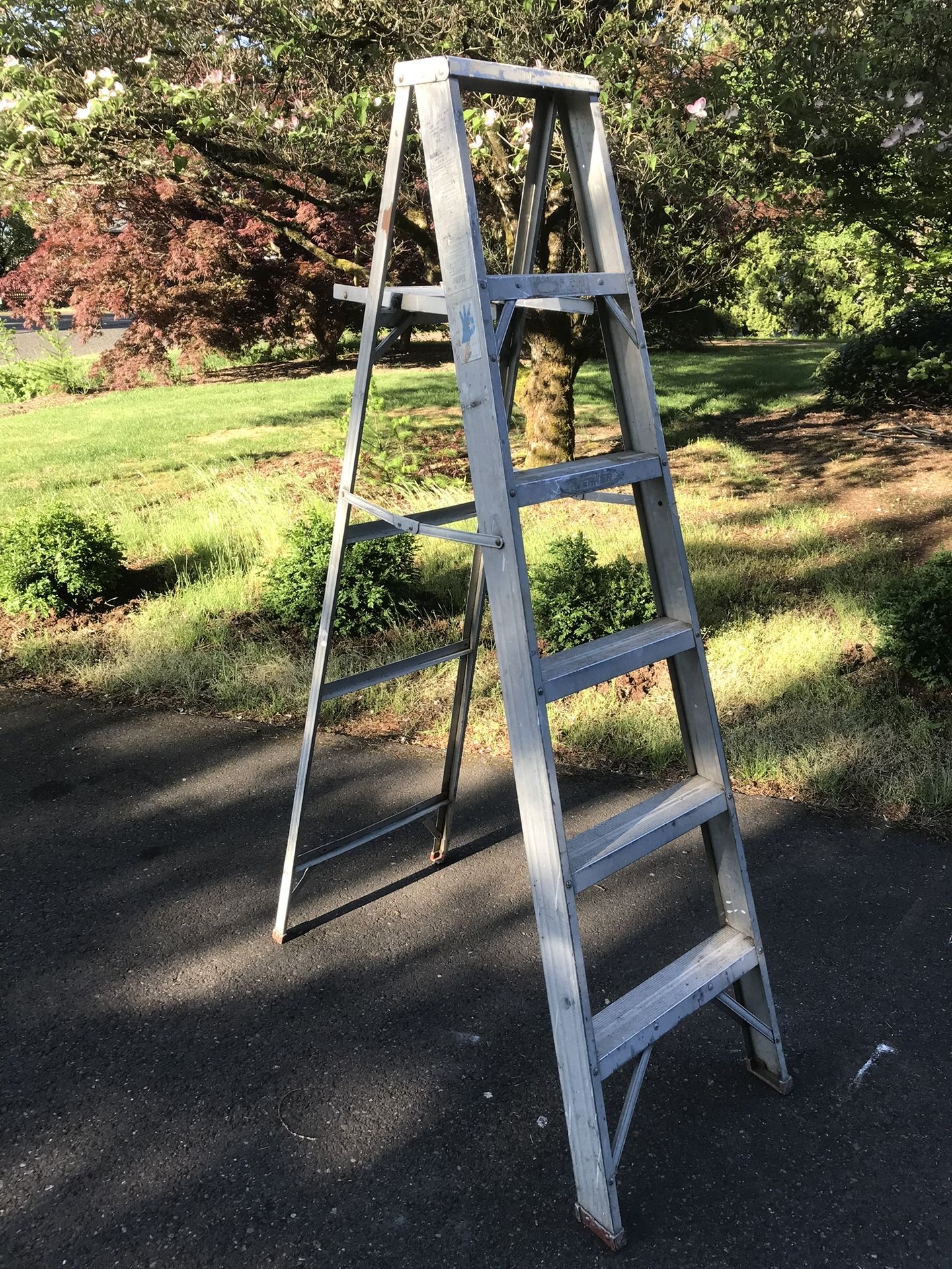 6ft Step Ladder 