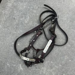 Newer Silver And Leather Show Halter 