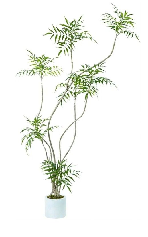 Artificial Mahonia fortunei Tree,6ft Tall Fake Plants Artificial Mahonia fortunei Plants for Indoor, Fake Trees for Office Home Living Room Floor Pati