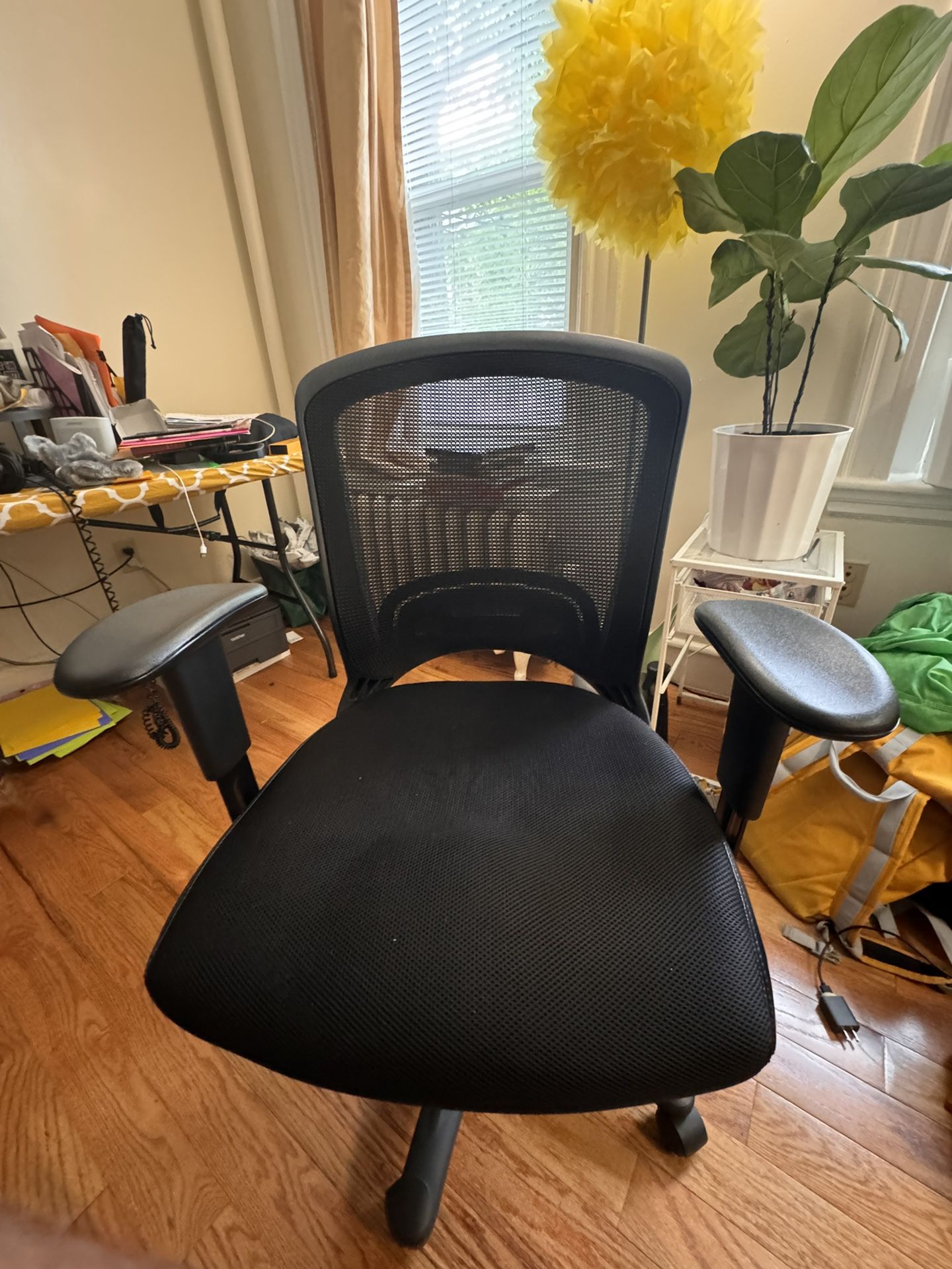 Office  Chair - Adjustable Arm Rests - Moving Sale!