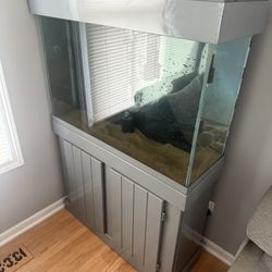 37 Gallon Fish tank / Aquarium 