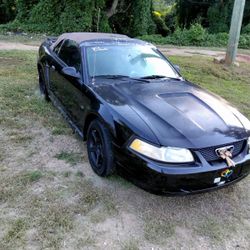 2000 Ford Mustang