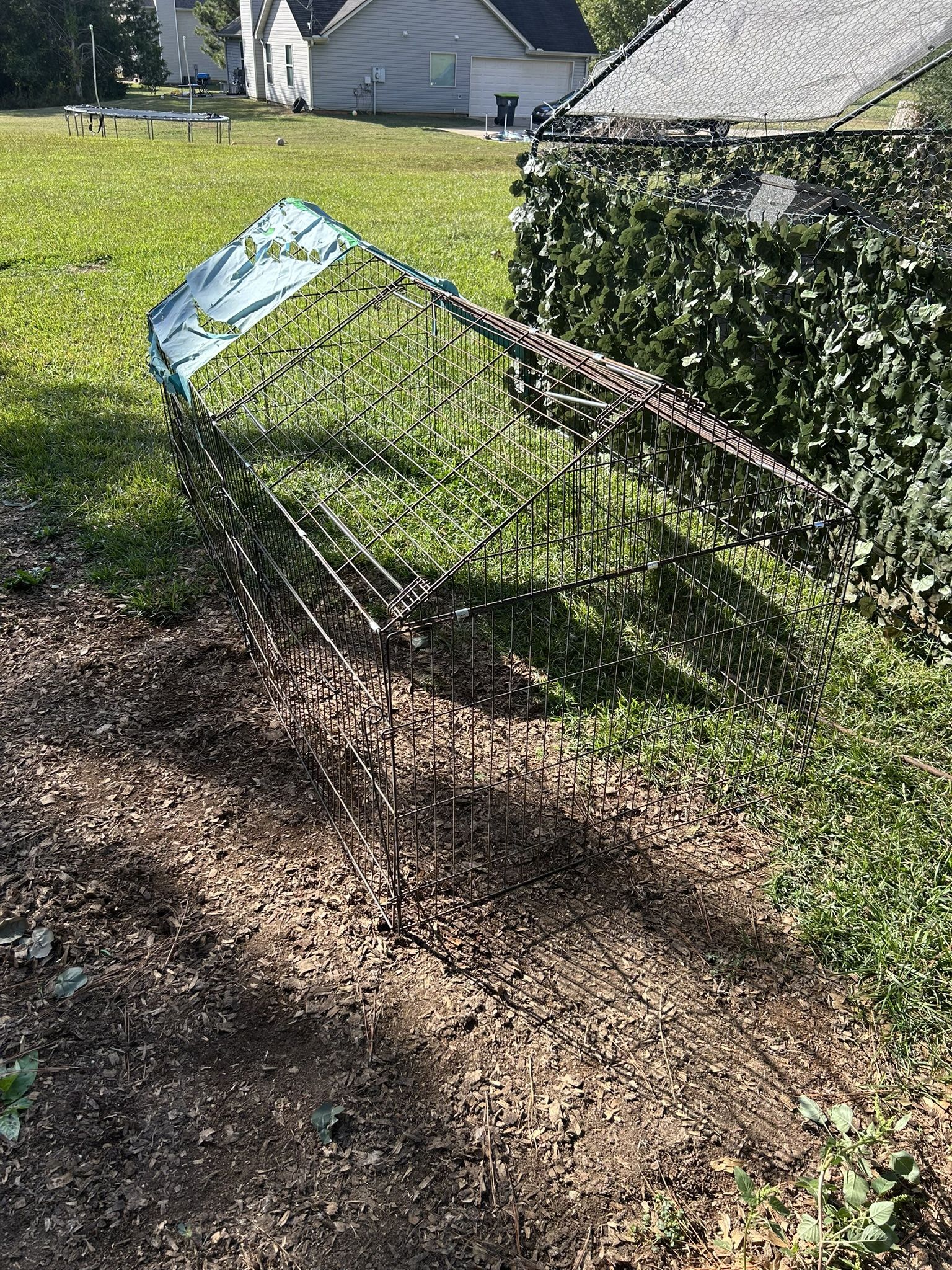 Chicken Run / Pen