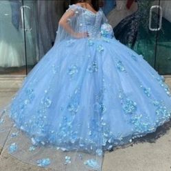 Vintage with  3D Floral Flowers Quinceanera