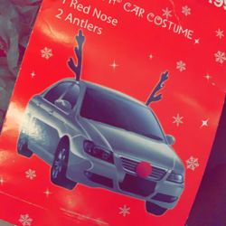 $5!!!! holiday Car Costume