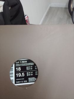 Cj1 T-rexx Jordans
