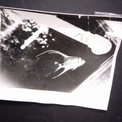 Black & White Darkroom 8x10 on 16x20 Board Salt Water Fish Themed Print.