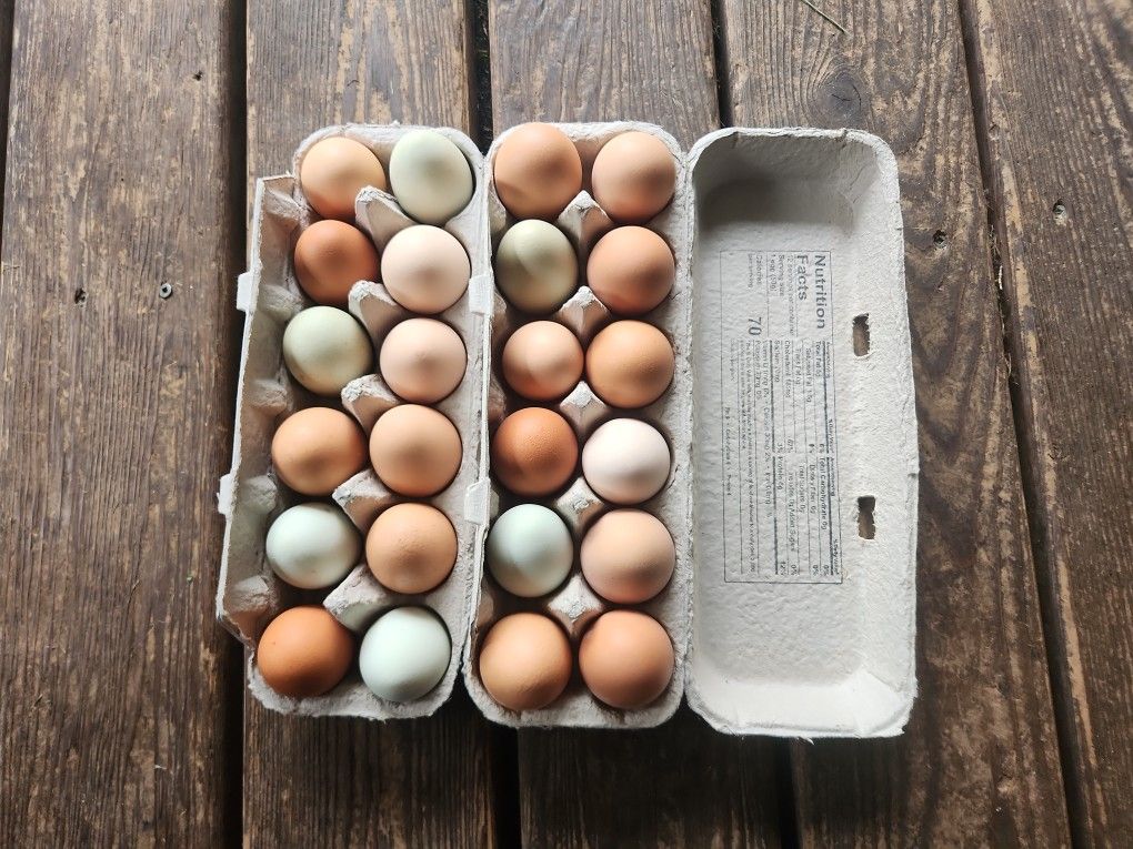 Farm Fresh Eggs