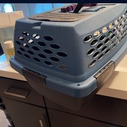 Cat carrier and free dry food and supplies!!!!