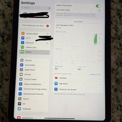 iPad 10gen WiFi and Cellular 256gb unlocked 