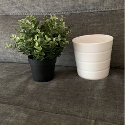 IKEA Pot And Plant