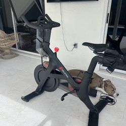 Peloton Bike + Extras