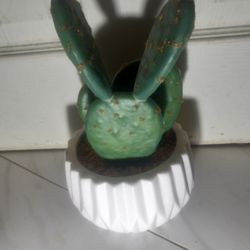 Artificial Plant Cactus Ceramic Planter