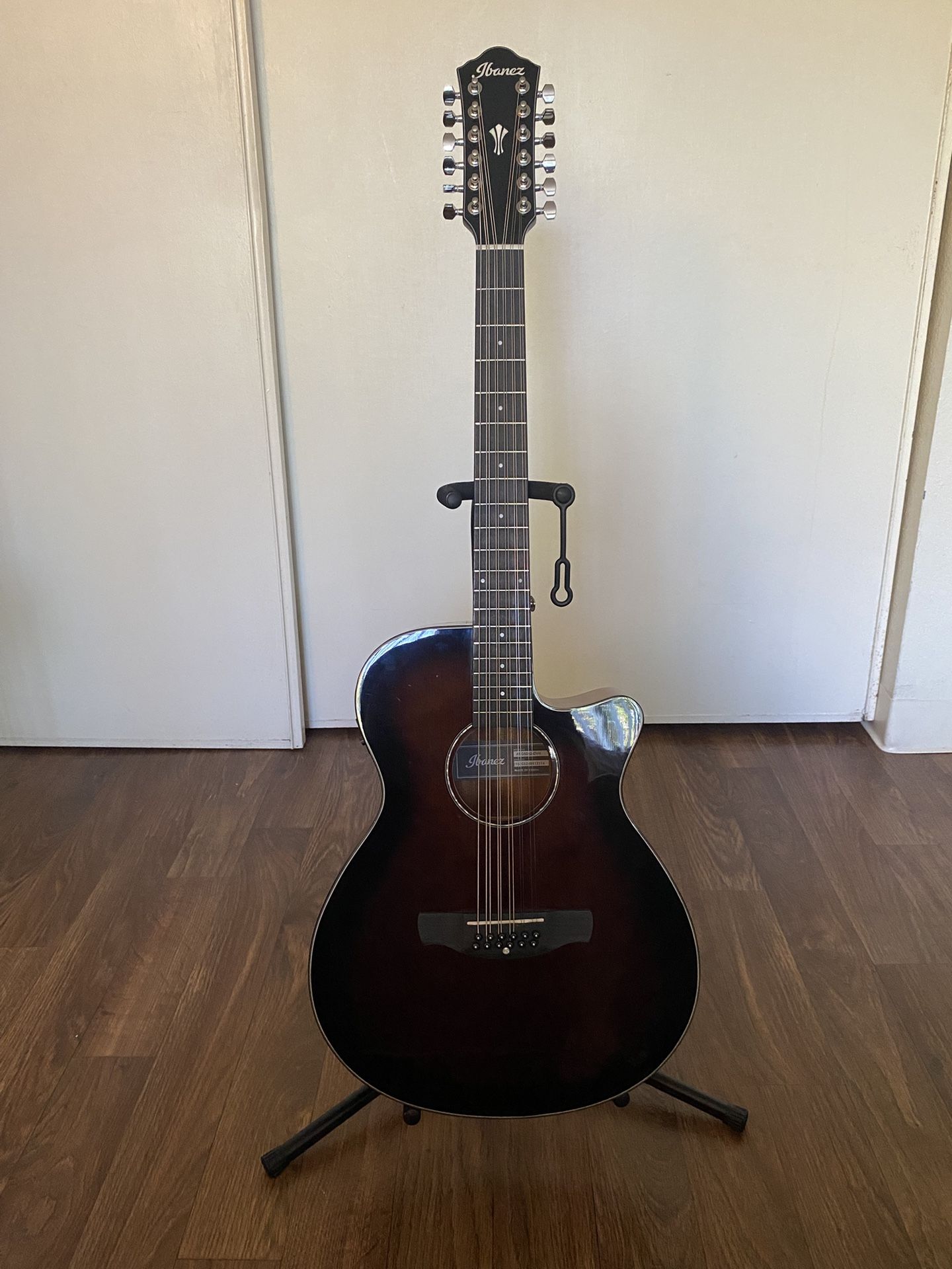 Ibanez 12 String Guitar