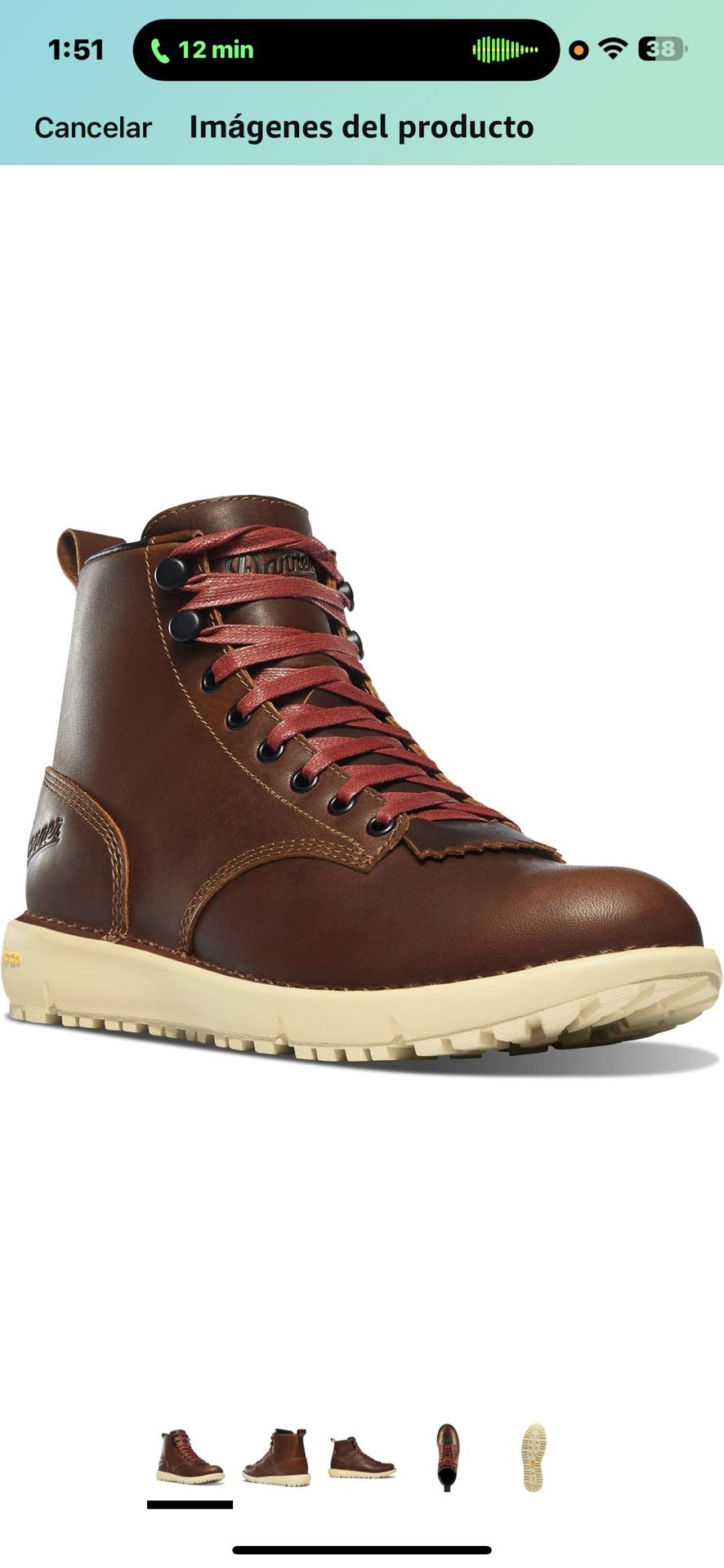 Danner Women's 6" Logger 917 Gore-Tex Waterproof Hiking Boots