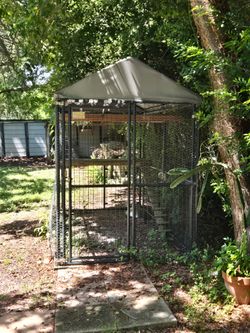 Large Retriever brand  Black Pet Pen 5 x 10