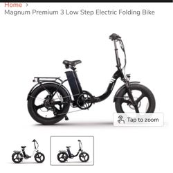 Electric bike