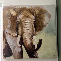 Elephant Photo 30x30 (Vista)