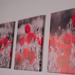 3-8x10 poppyflower print