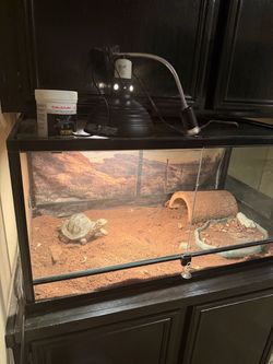Glass Reptile Terrarium with Basking Lamp