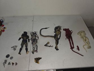 Alien & Predator