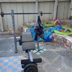 Blowflex Bench Weight Holder Bench With 8 Weight 