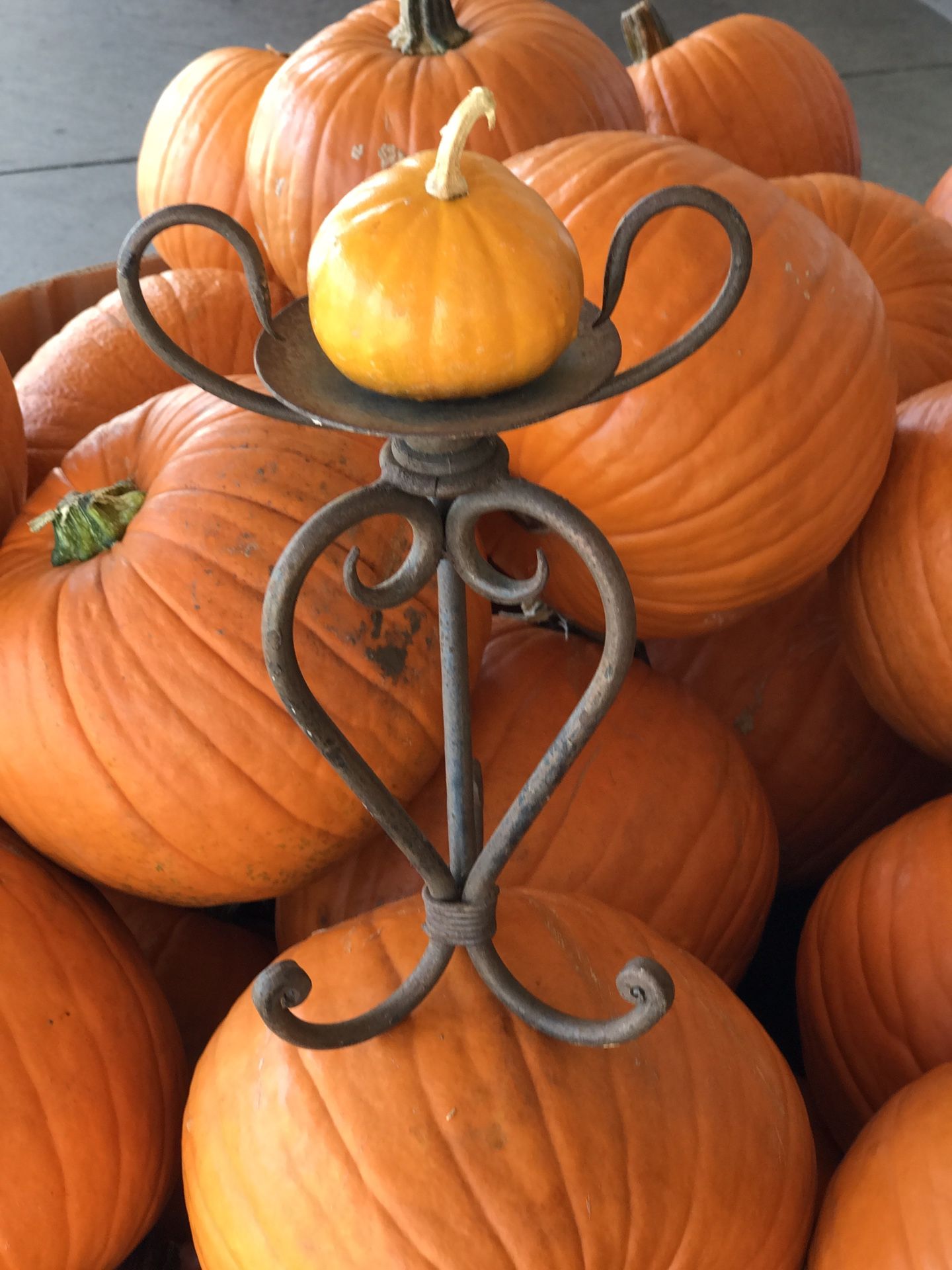 Thanksgiving rustic ironwork decor...12” tall candle holder