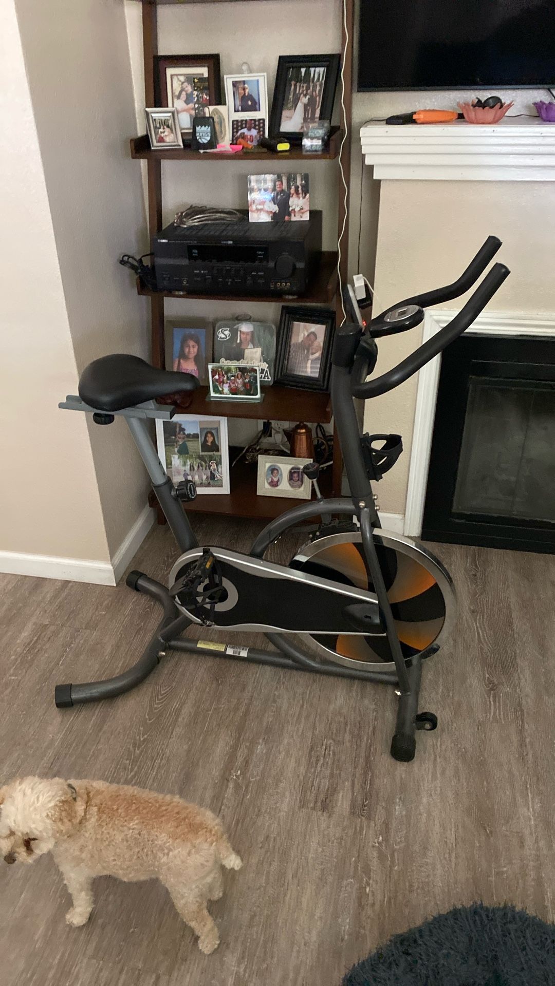 Exercise Bike Fitness Reality