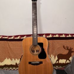 Trade/Sell - Japanese Made Mateo Acoustic