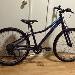 GIANT LIV GIRL’s bike 24” Wheels - excellent condition 