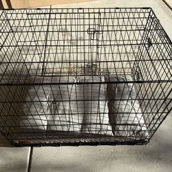 Medium Size Dog Kennel