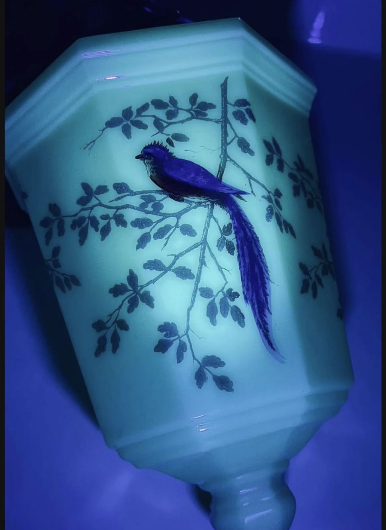 RARE Vintage Custard Glass Bird Design Light Shade Victorian Fixture