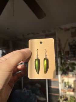 Jewel Beetle Earrings