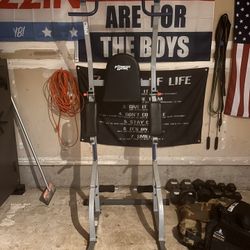 Pull Up/Dip Station Combination 