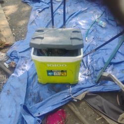 Large Cooler Good Condition