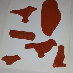 Different birds and a owl