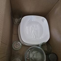 Free Dinner Plates And Cups