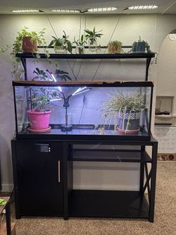 Aquarium stand Only